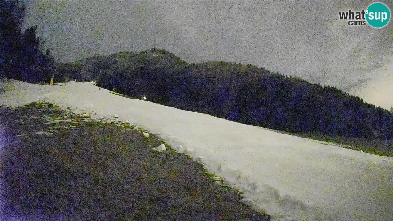 Ski Kranjska Gora | Brsnina