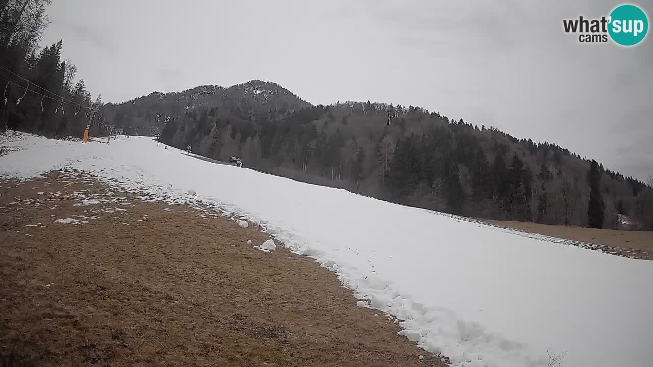 Kranjska Gora Station de ski | Brsnina