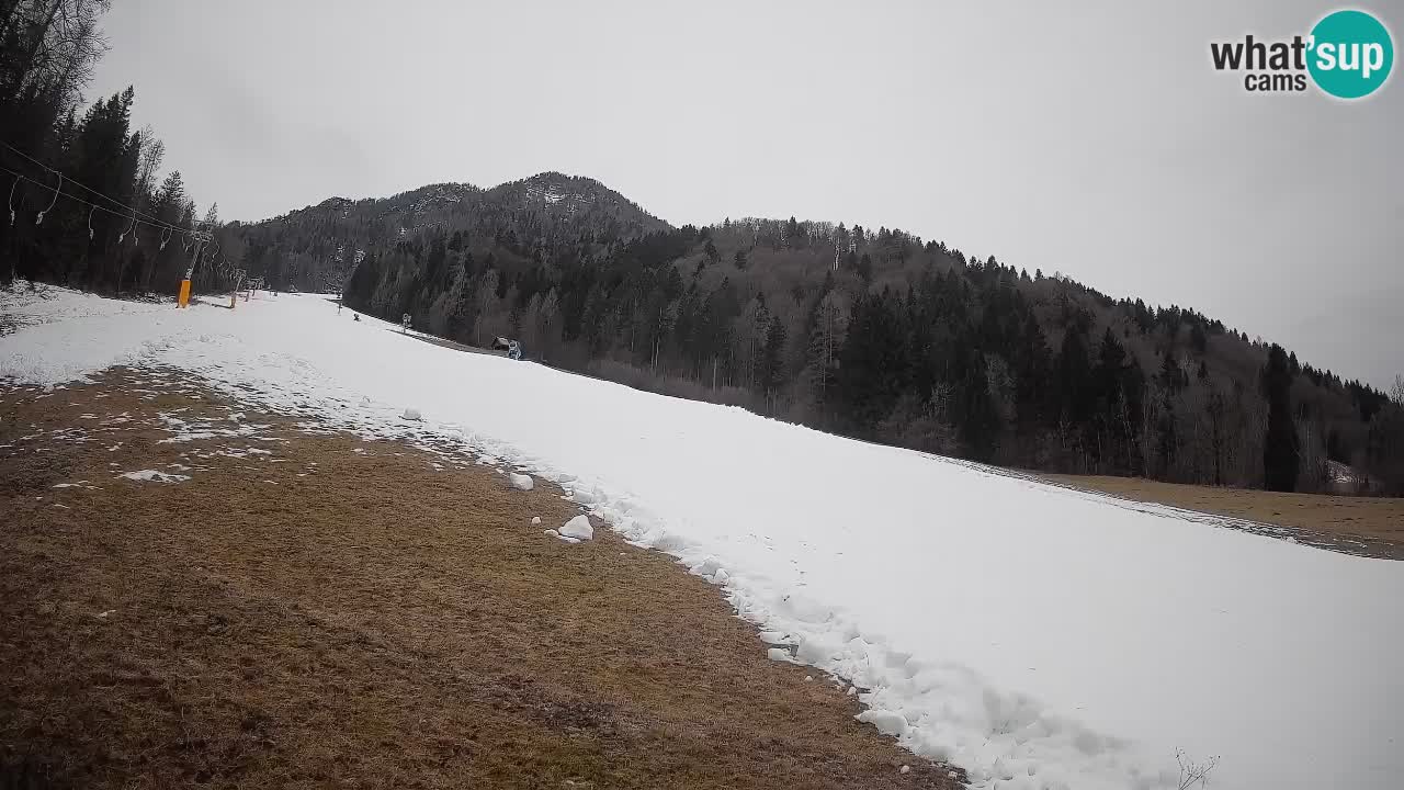 Ski Kranjska Gora | Brsnina