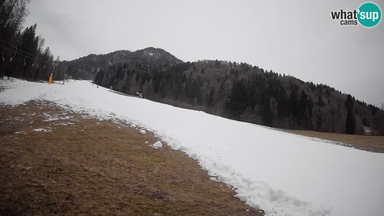 Ski Kranjska Gora | Brsnina