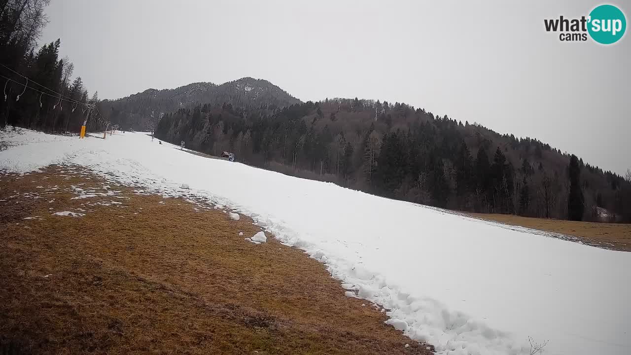 Kranjska Gora SKIJANJE | Brsnina