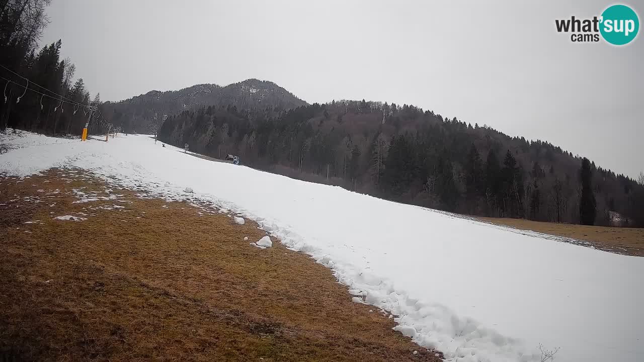 Comprensorio sciistico Kranjska Gora | Brsnina