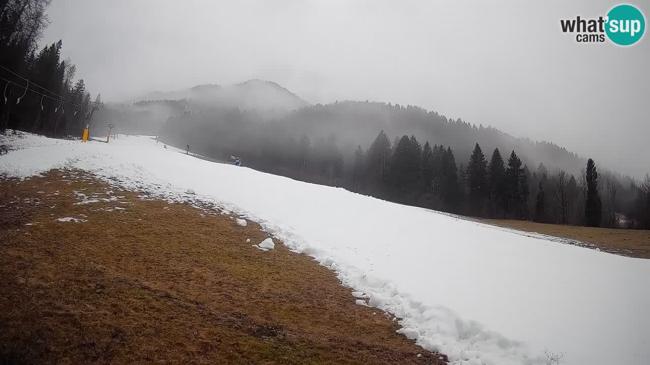 Kranjska Gora Station de ski | Brsnina