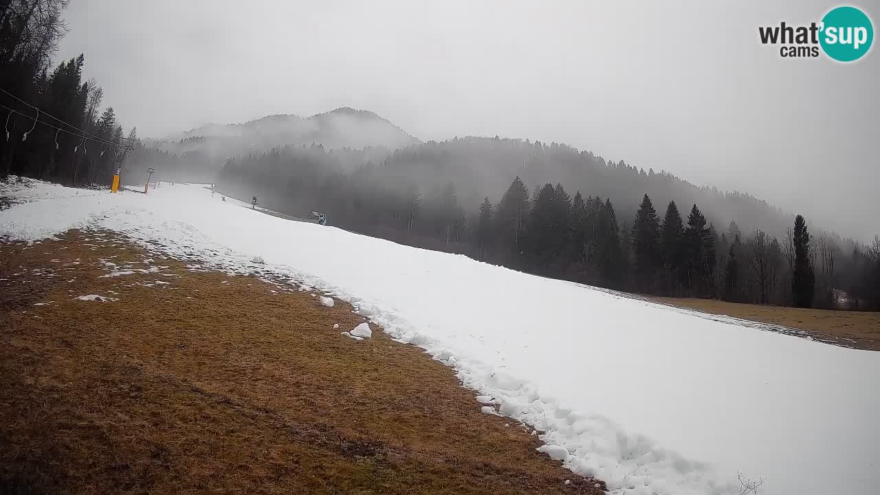 Ski Kranjska Gora | Brsnina
