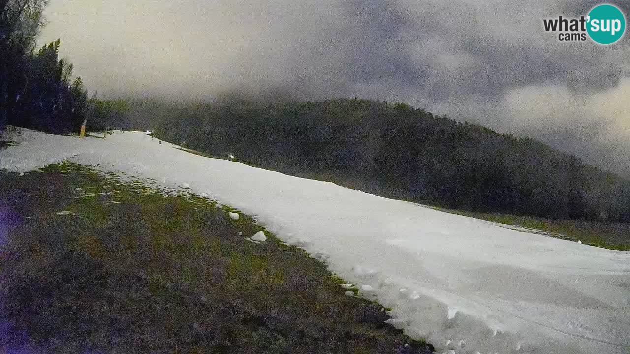 Kranjska Gora SKIJANJE | Brsnina