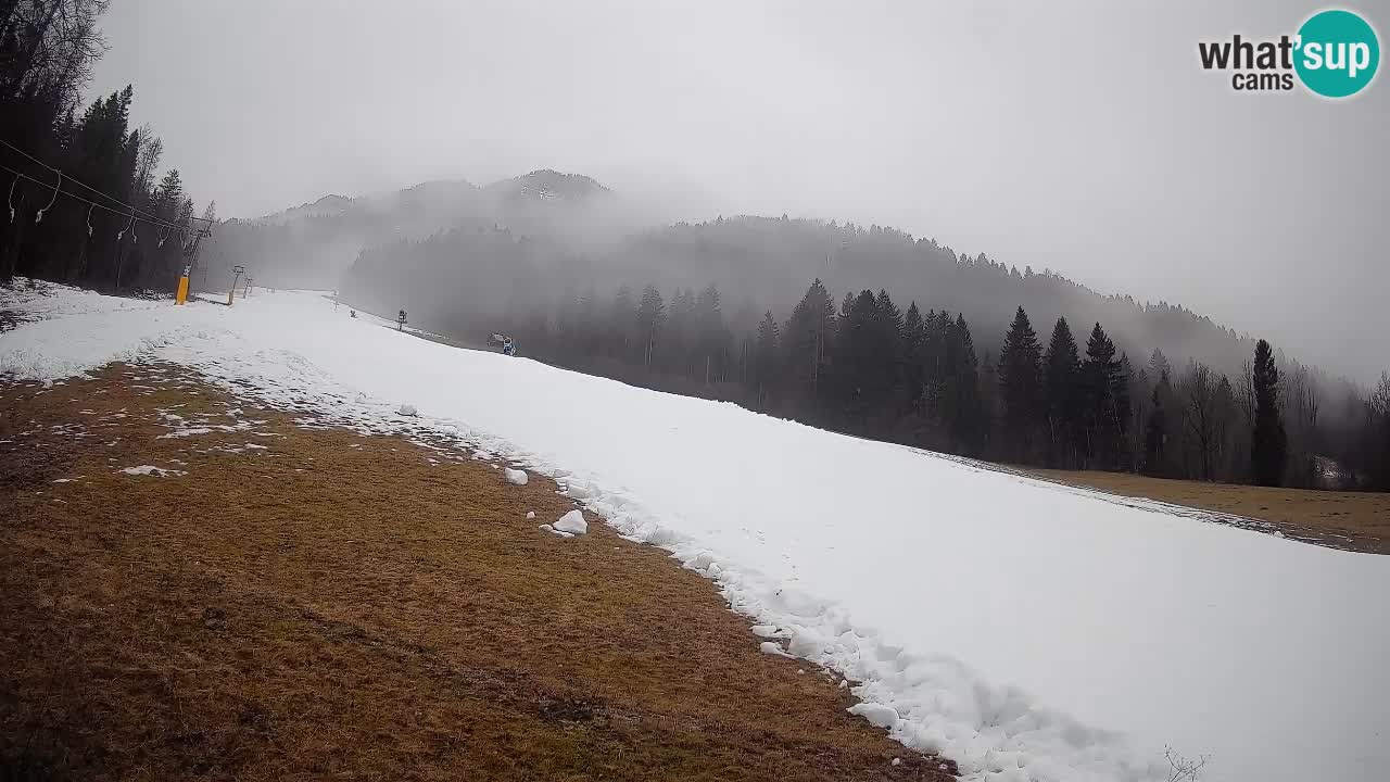 Kranjska Gora SKIJANJE | Brsnina