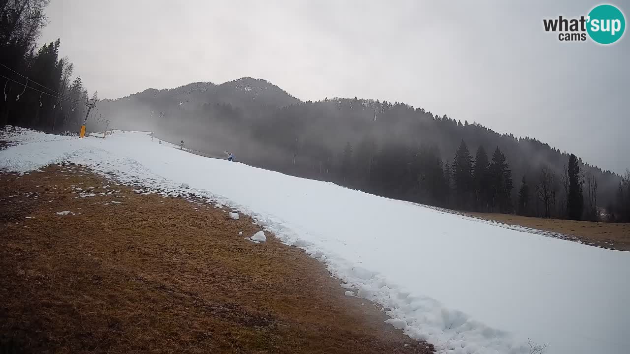 Comprensorio sciistico Kranjska Gora | Brsnina