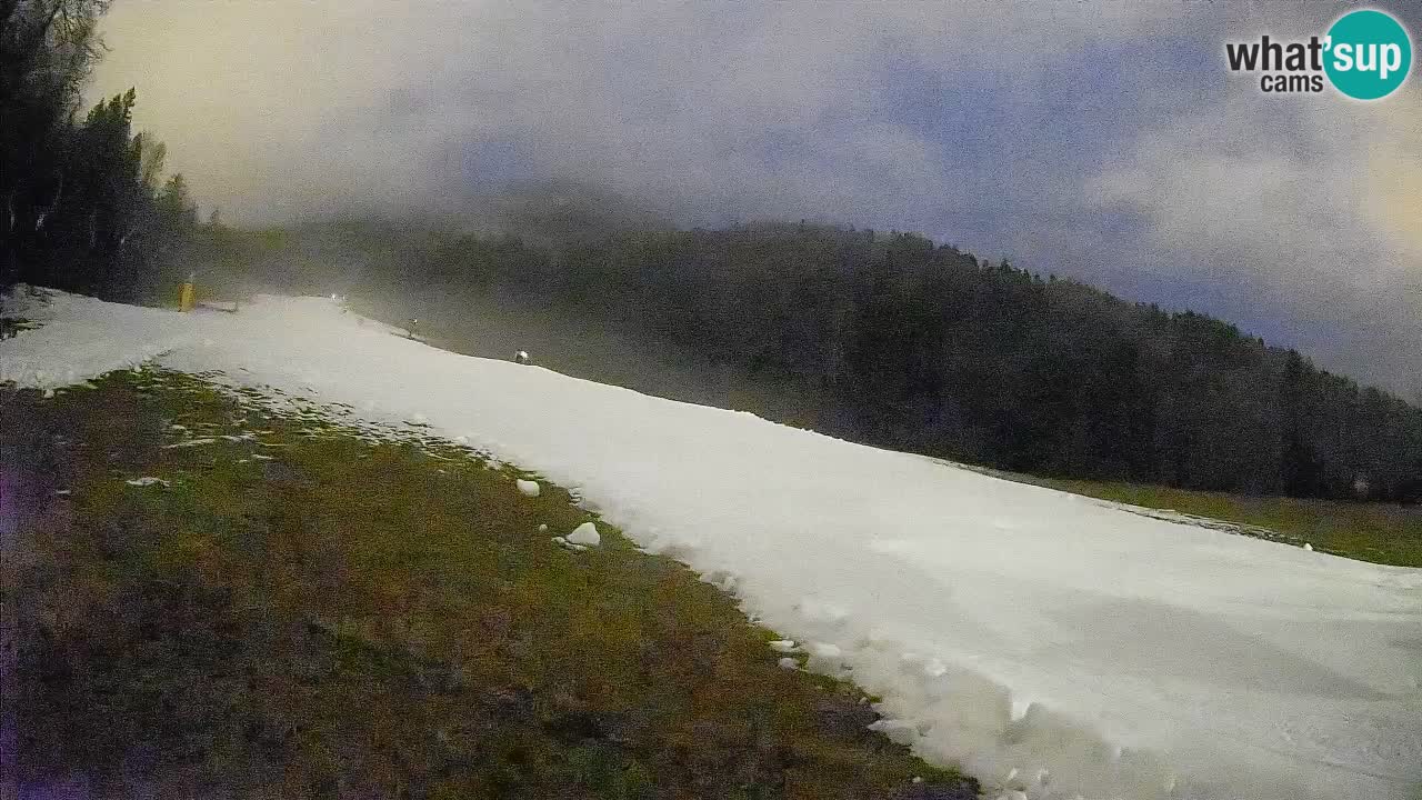 RTC Kranjska Gora | Brsnina