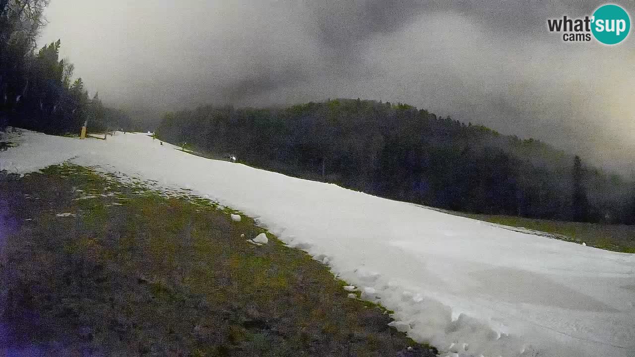 Comprensorio sciistico Kranjska Gora | Brsnina