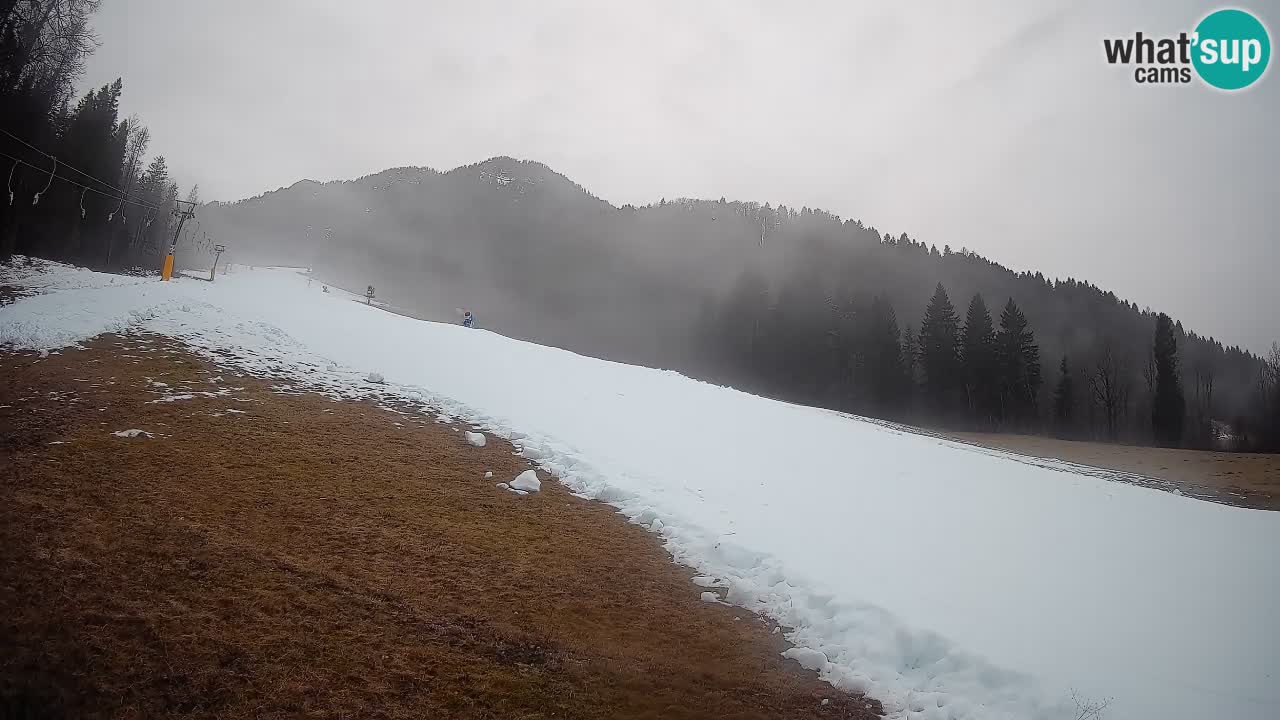 Kranjska Gora Station de ski | Brsnina