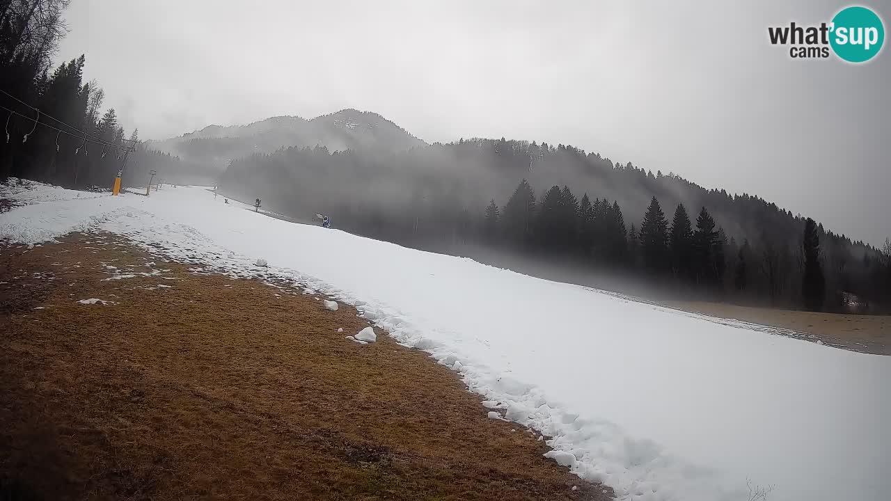 Kranjska Gora Station de ski | Brsnina