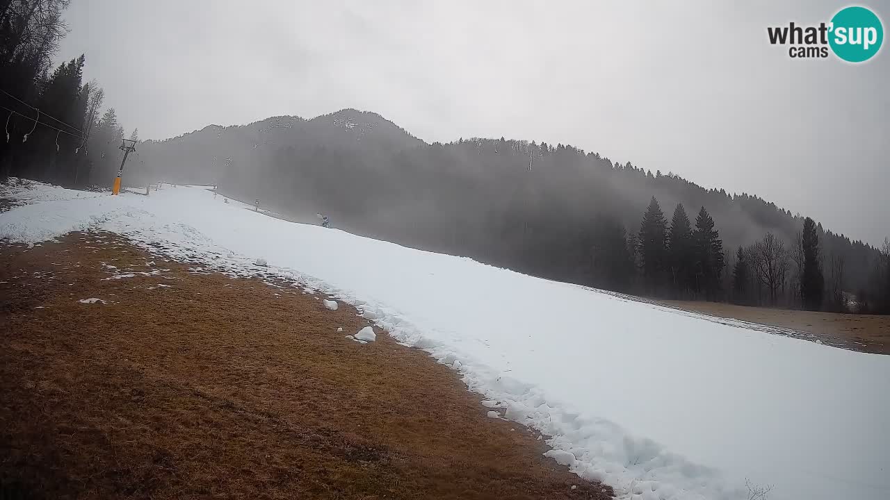 Kranjska Gora Station de ski | Brsnina