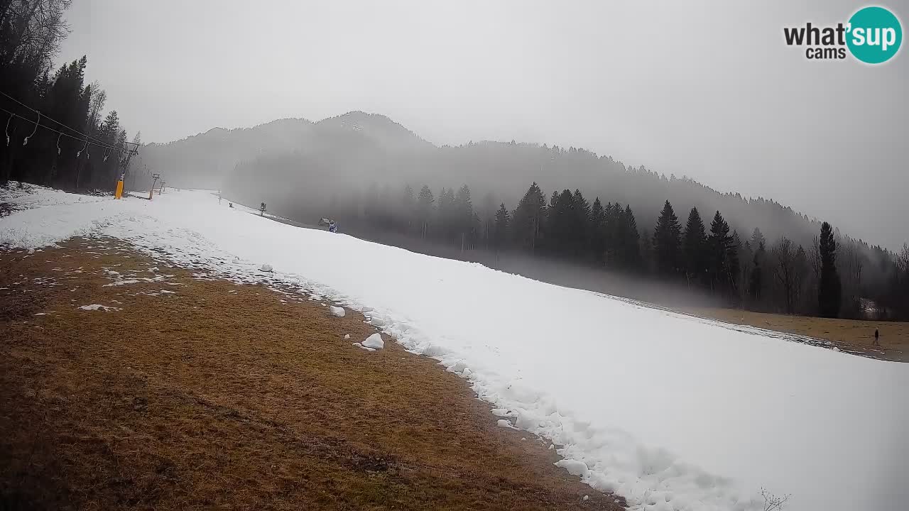 Kranjska Gora Station de ski | Brsnina
