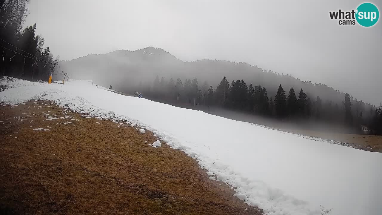 Esquí Kranjska Gora | Brsnina