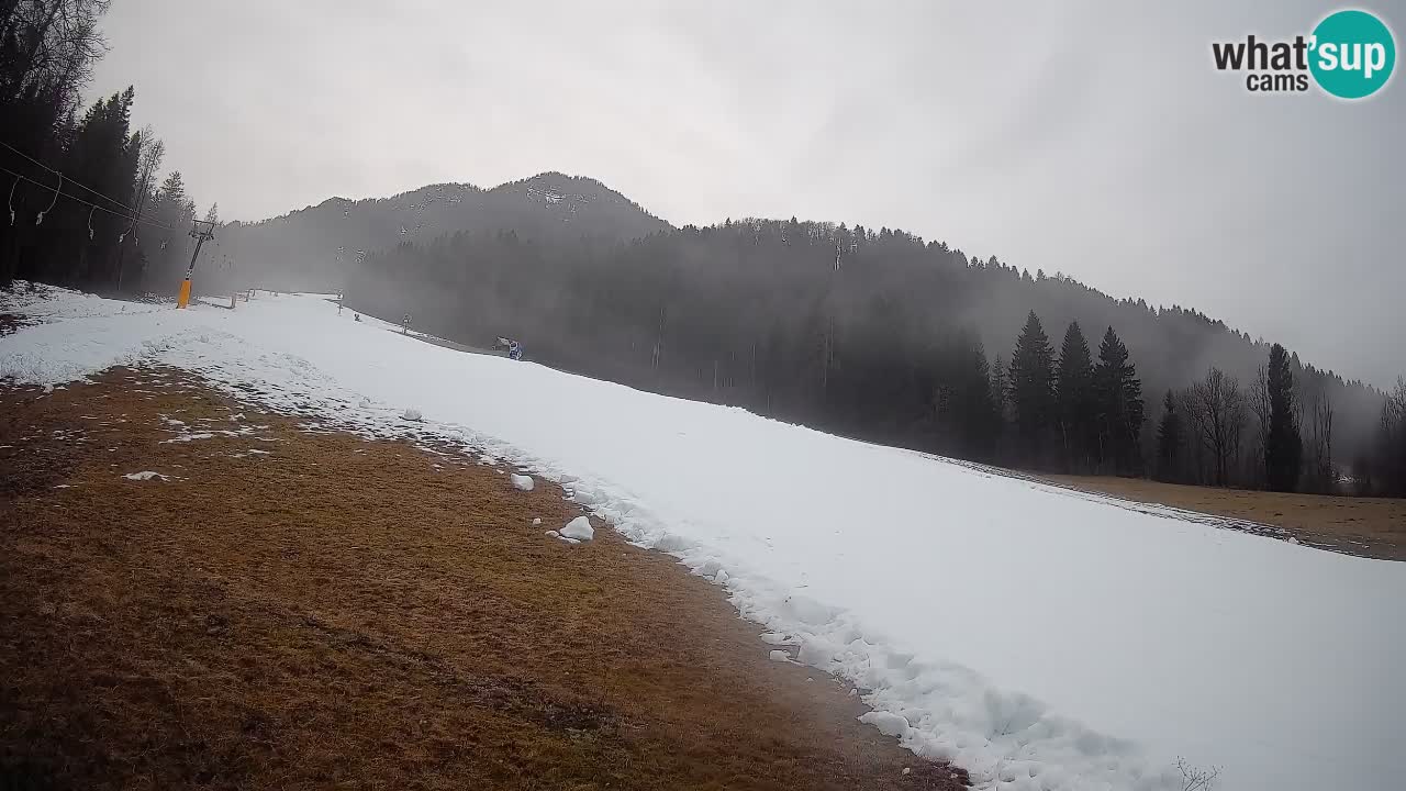 RTC Skigebiet Kranjska Gora | Brsnina