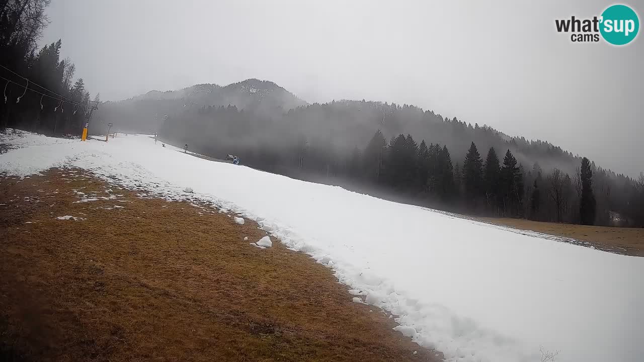 Ski Kranjska Gora | Brsnina