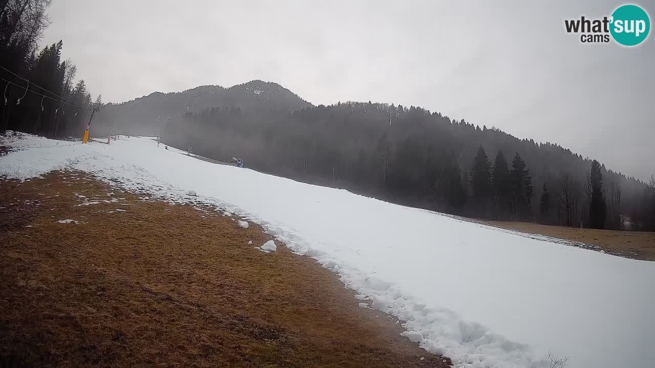 RTC Skigebiet Kranjska Gora | Brsnina