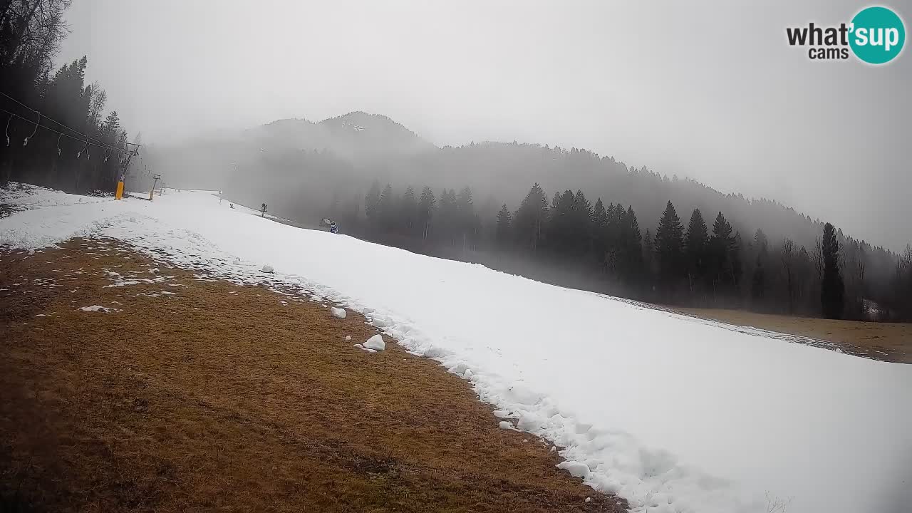 Kranjska Gora SKIJANJE | Brsnina