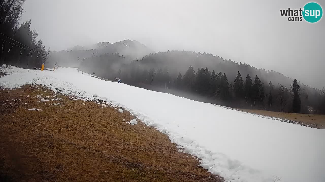 Kranjska Gora Station de ski | Brsnina