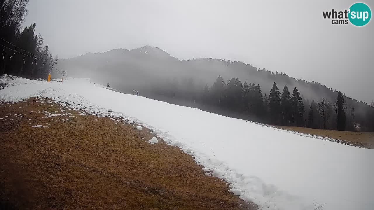 Ski Kranjska Gora | Brsnina