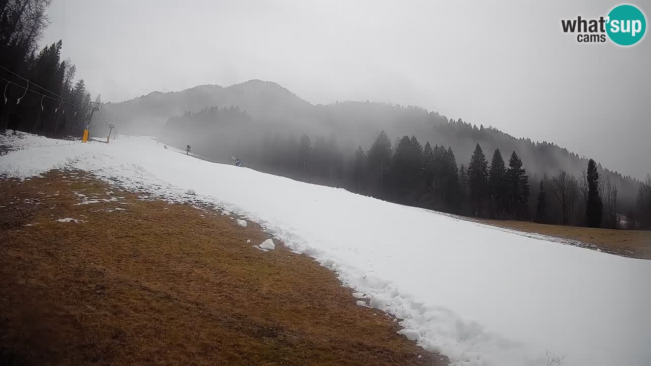 Ski Kranjska Gora | Brsnina