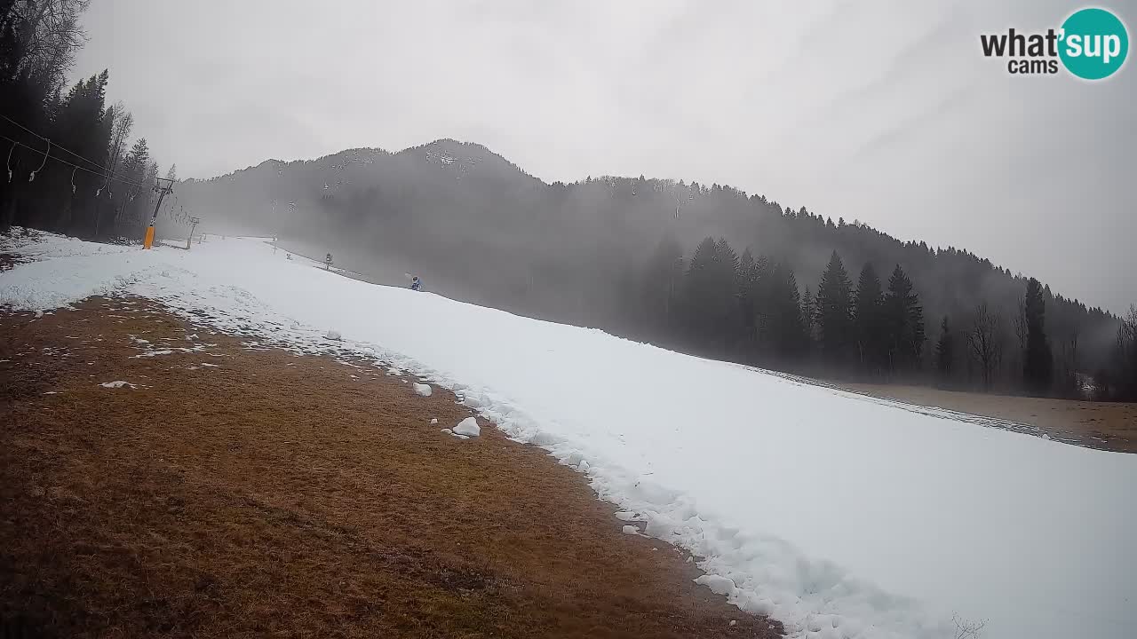 RTC Kranjska Gora | Brsnina