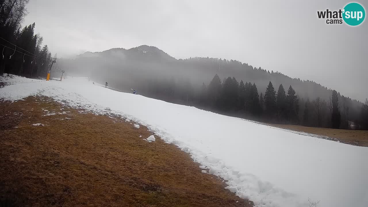 Esquí Kranjska Gora | Brsnina