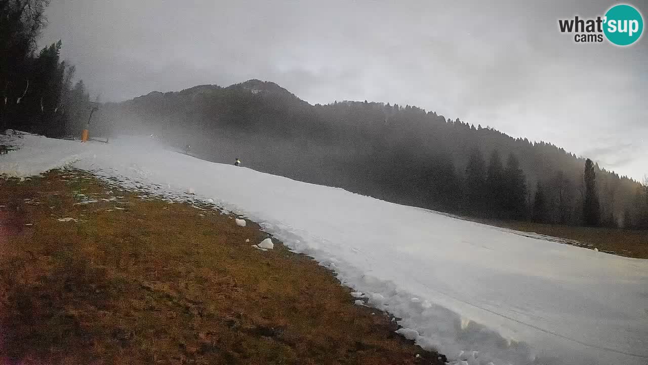 Ski Kranjska Gora | Brsnina