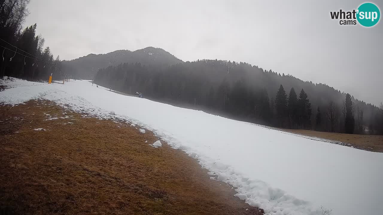 Ski Kranjska Gora | Brsnina