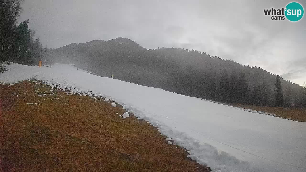 RTC Kranjska Gora | Brsnina