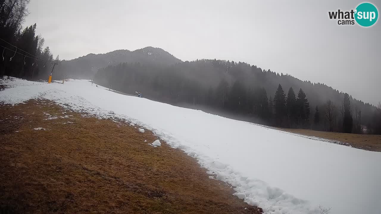 Esquí Kranjska Gora | Brsnina