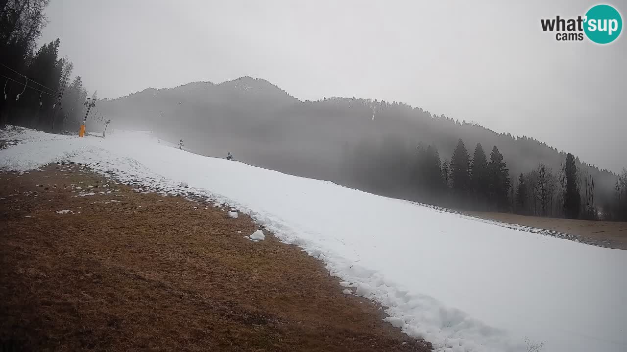 Kranjska Gora SKIJANJE | Brsnina