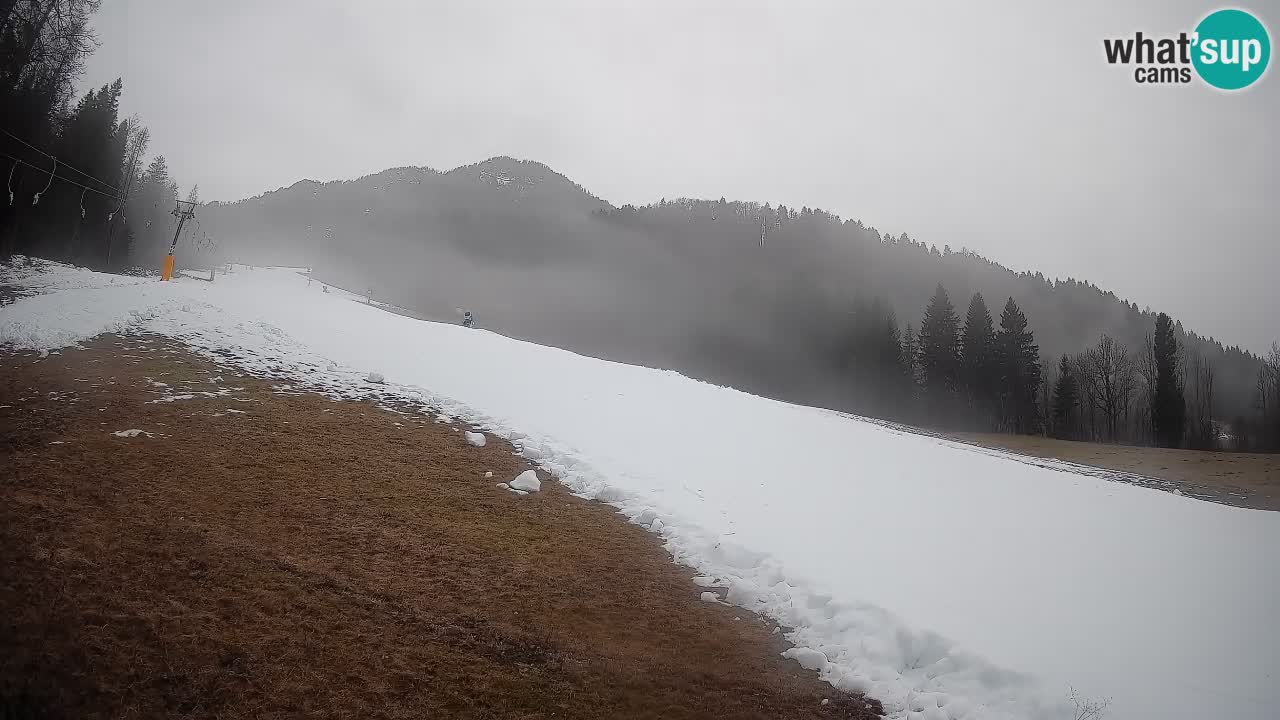 Kranjska Gora SKIJANJE | Brsnina