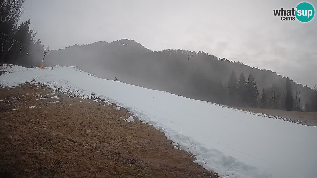 Esquí Kranjska Gora | Brsnina