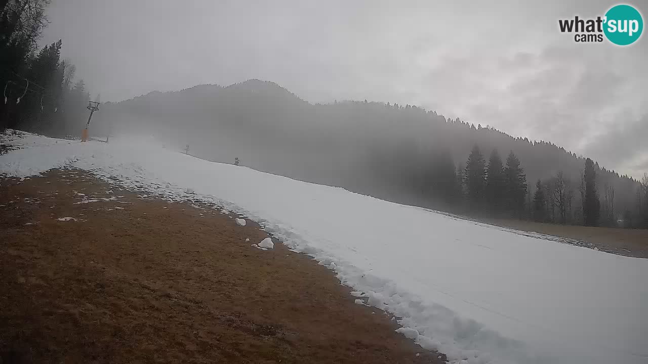 Esquí Kranjska Gora | Brsnina