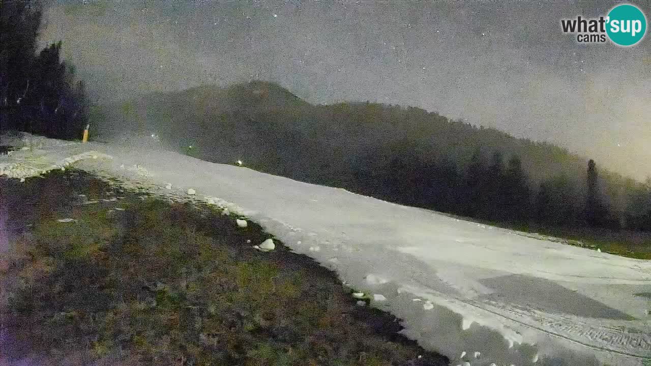 Ski Kranjska Gora | Brsnina