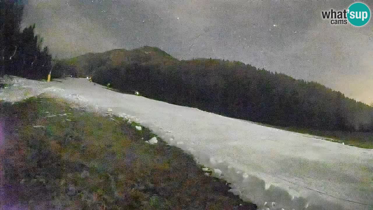 Comprensorio sciistico Kranjska Gora | Brsnina