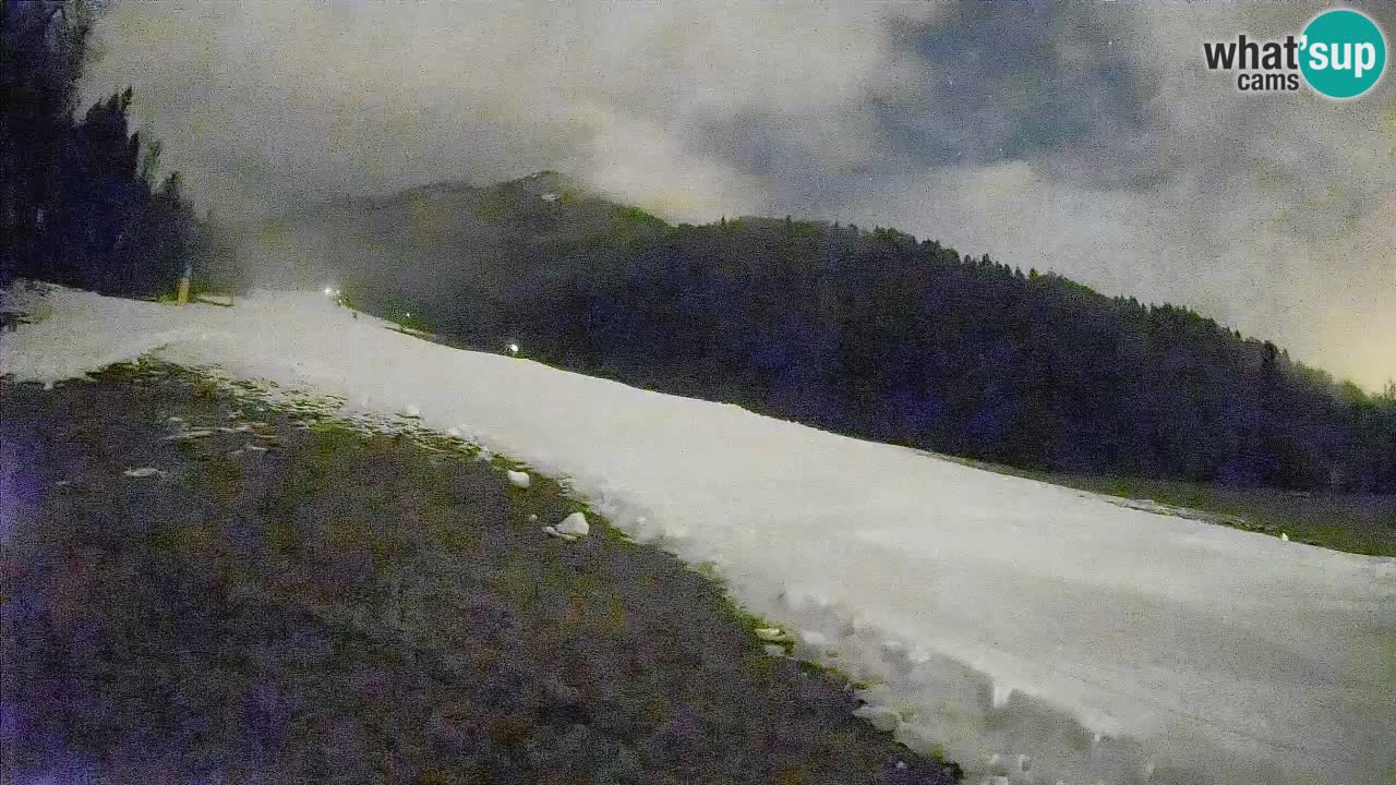 Ski Kranjska Gora | Brsnina