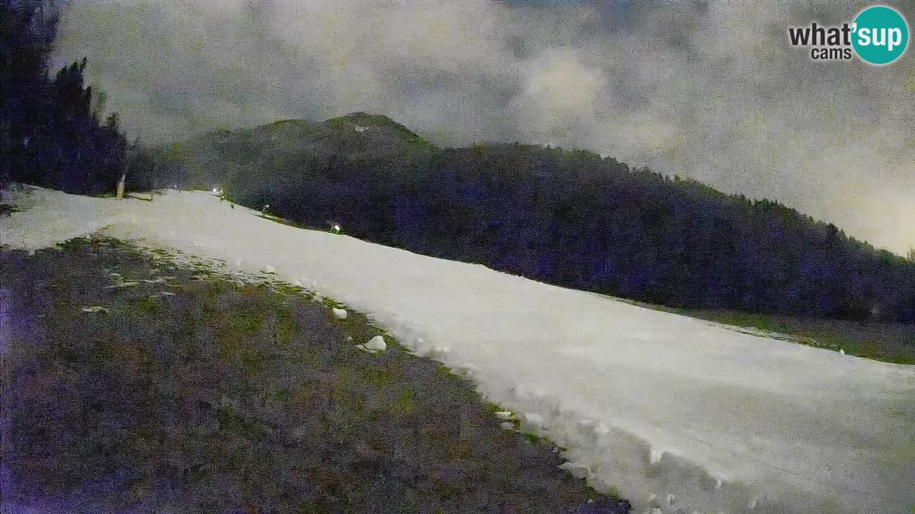 RTC Skigebiet Kranjska Gora | Brsnina