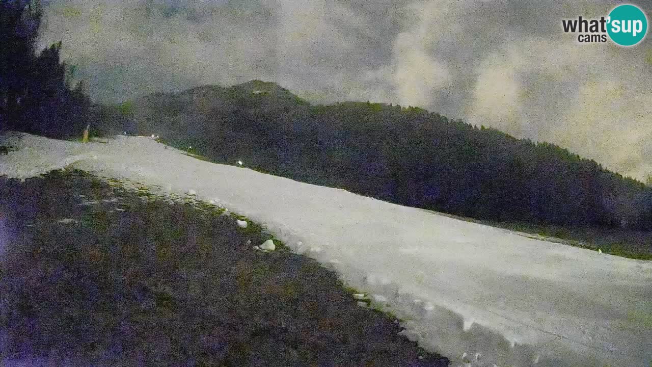 Esquí Kranjska Gora | Brsnina