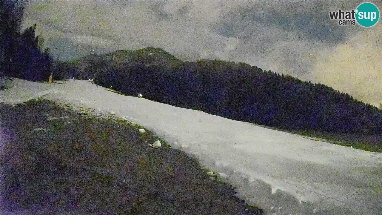 Comprensorio sciistico Kranjska Gora | Brsnina