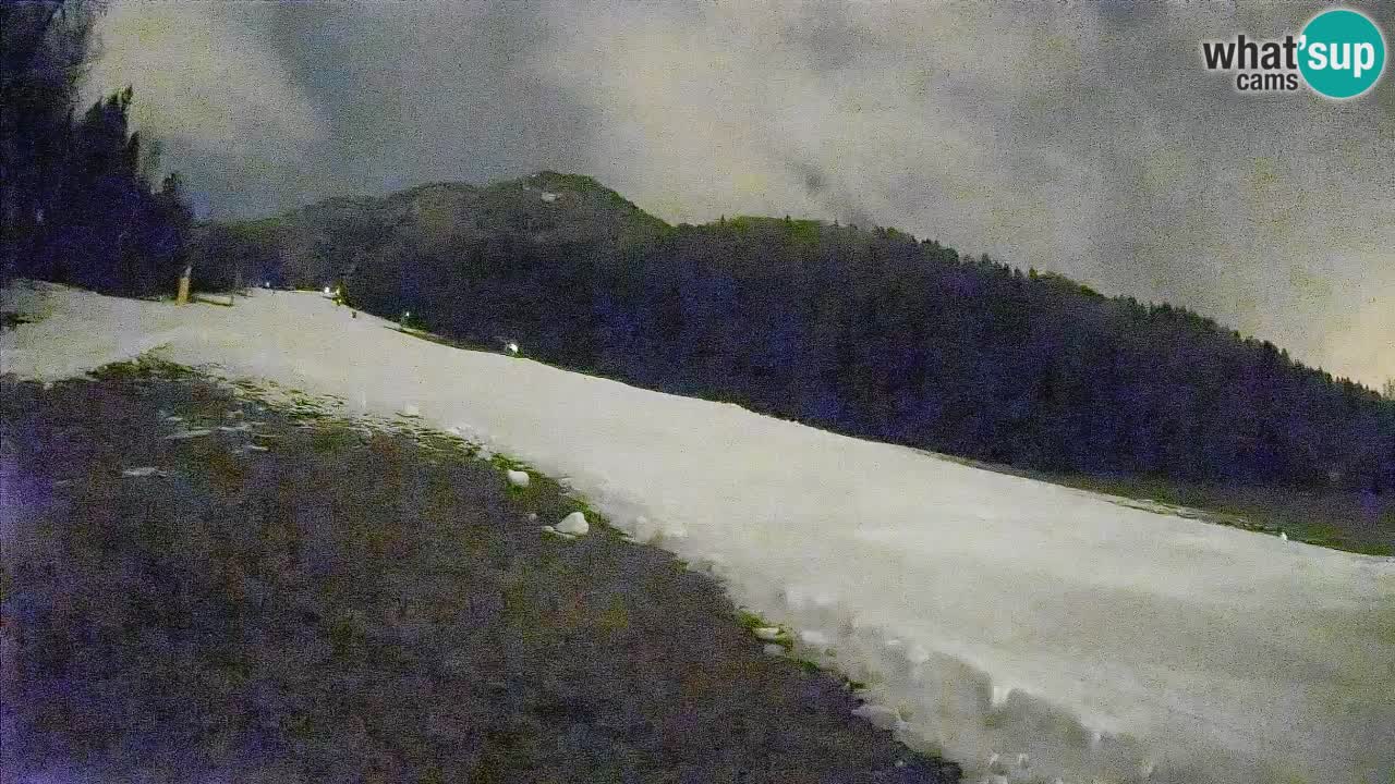 Ski Kranjska Gora | Brsnina