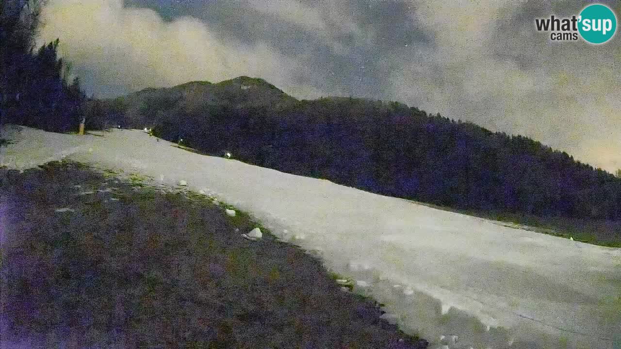 Esquí Kranjska Gora | Brsnina