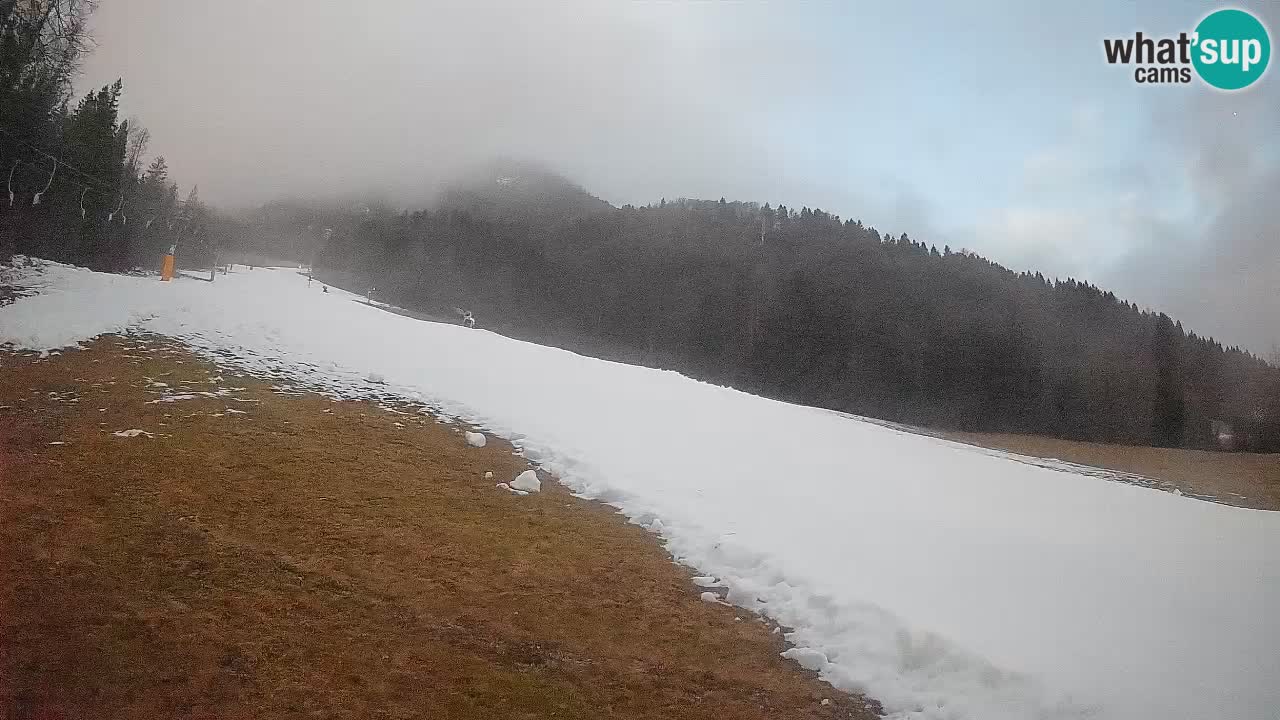 RTC Kranjska Gora | Brsnina