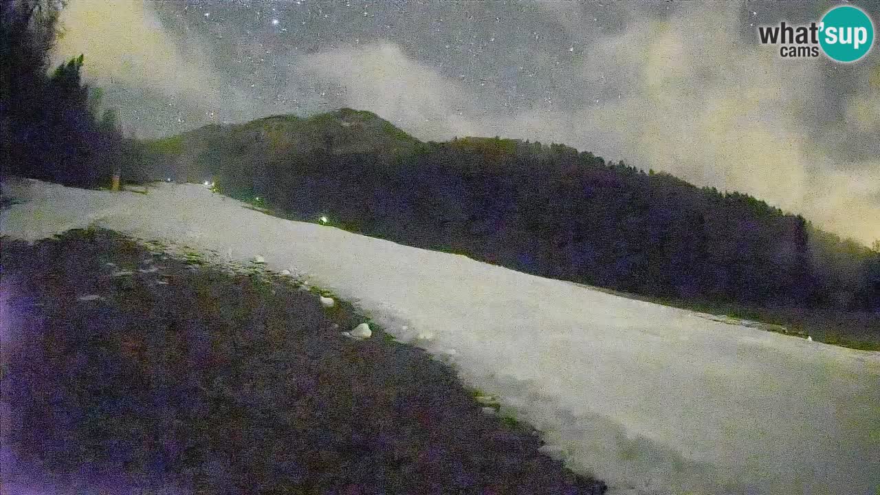 RTC Skigebiet Kranjska Gora | Brsnina