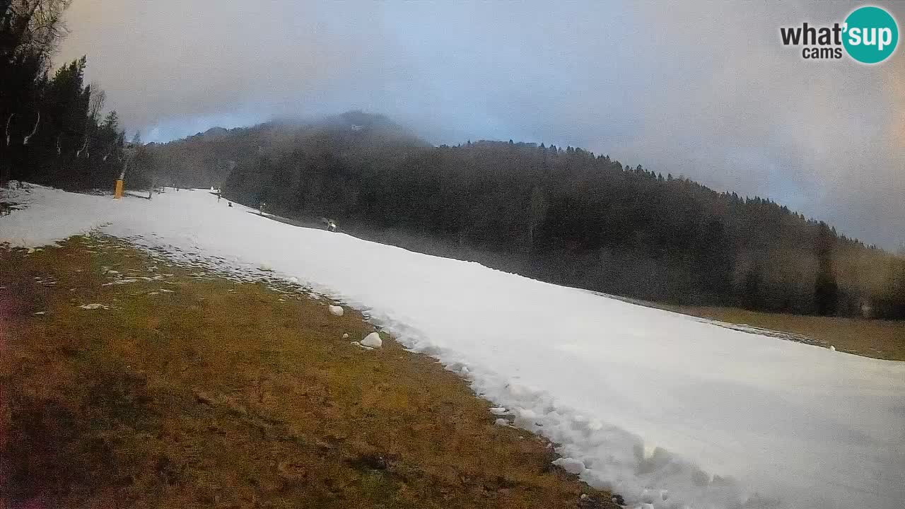 RTC Skigebiet Kranjska Gora | Brsnina