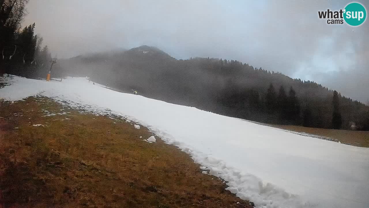 Comprensorio sciistico Kranjska Gora | Brsnina