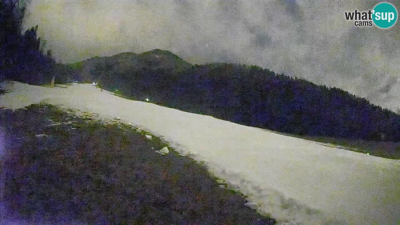 RTC Kranjska Gora | Brsnina