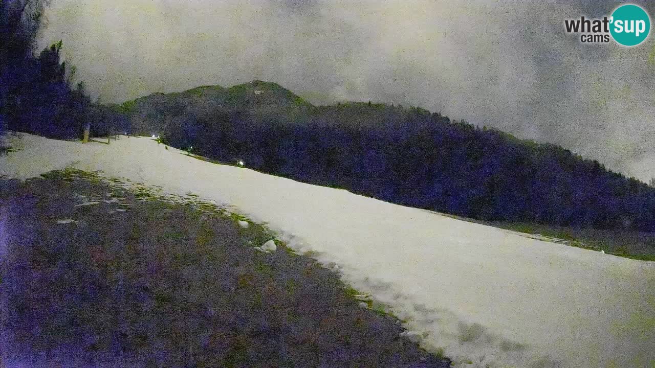 Ski Kranjska Gora | Brsnina