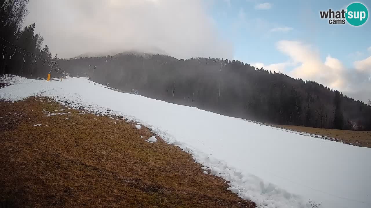 Ski Kranjska Gora | Brsnina